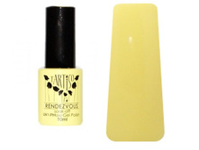 Tartiso Rendezvous TRV-36.jpg