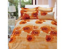 ���������� ����� ��� 1,5 ������ Domus ���. D� 79. ���� 756 ���