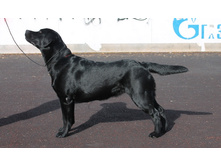 ���� ������. HAPPINESS FOREVER OT ANWERON. ��� �������� ������ ����:)