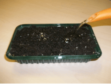 3. ��������.