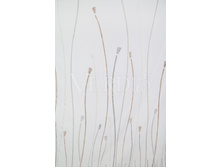 ������� ������ �����