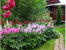 �������� � ����.jpg