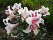 ����� ���������� ���. ����.jpg