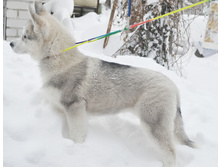 ���� �����.jpg