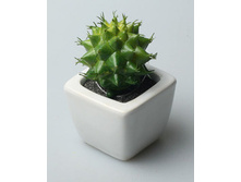 ��������� 43896 55�.jpg