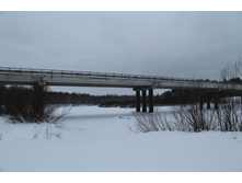 IMG 1315.JPG