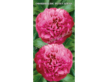 ���� ���������� ����� �����.jpg