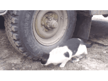 ��� ��� ������?