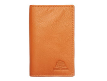 ��������� 5450 orange - 690 ���.