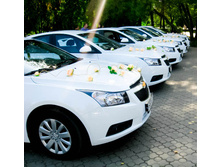 ������� ���� ������.jpg