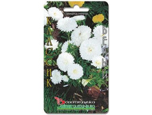 ����� ��������� ����� ������� �����. 70 ��. 10 ���.jpg