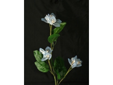 ��������� 5-083 75�.jpg