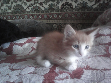 IMG 20160116 104847.jpg