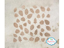 MSK125 enl������ 2.jpg