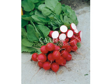 ����� ������ 14���.jpg