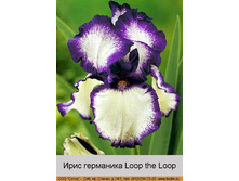 ���� ��������� Loop the Loop  ���� 1 �� 	121�.00�.