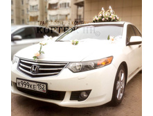 O NLHPxDveo-2�����.jpg