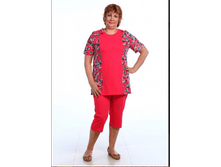 ��� 251 ������ �������, �������, �� ����� �������, �������� �����, ������ 48-66...png