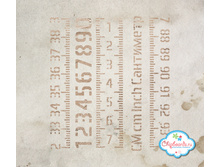 MSK108 enl�������.jpg