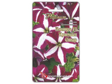 ������� ��������������� ������ F1 ������� ����. 15 ��. 32 ���.jpg