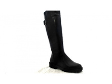 Phoca thumb l 1356 44.jpg