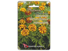 ������� ����������� ������ ���������� ��������. 25 ��. 32 ���.jpg