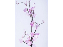 ��������� 16-024 160�.jpg