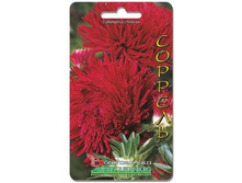 ����� ��������� ����� ������ �������. 70 ��. 9 ���.jpg