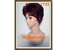 1733 �������� �������.jpg