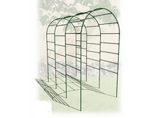 ���� �������