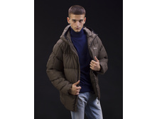 ������ ������ ������� Merlion ��-4 (���������� ����) ���� 1750 �..jpeg