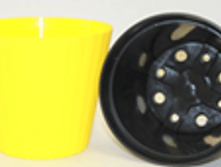 ����� ������� ������� � ��������