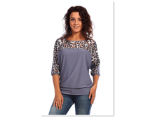 Big cat 830c637052864a9d91fb17fc8c27df31.png