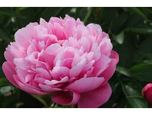 ���� ������� �� 50 �� 150� (��� ������ ���������� ������ ������� �� ��������� �� ������ ����� �������)