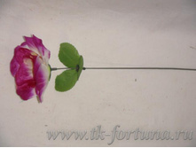 20-2050� ���� 27 ��., D=8 ��., �������, �����, ���������� 6.20