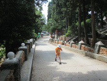 IMG 1308.JPG