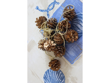 �������� �����