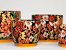 205J �������