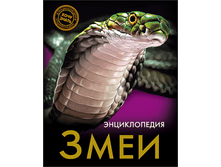 1448449062 2d9264e5a92a773396b3e85c01c74ea5.png