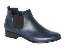 416 ���� �����