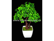 ������ � �������� �������� 23�� ��-5059 235���..jpg