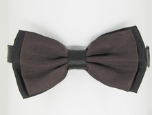 Bt-10-450 ���.JPG