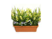 �200 ����������� ������ "��������" (������) �200 ����������� ������ "��������" (������) ------ �������	�200 �������,��	40 �� ����,���. (��)	1400.00