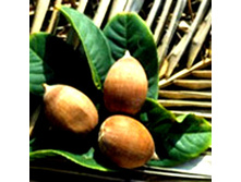 ����� ������� ���. 100 �� - 133 ���. � ������� 200 ��.jpg