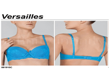 081910 C ���������