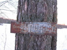 IMG 7453.jpg