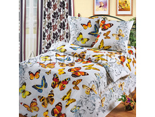 ������� ���� �������