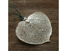 ����� "���� �����" �������, ���������. �������