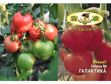 ��������� 14,50 ���. �������� 3 ��..png