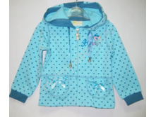 ���. 2231 SDLG.jpg